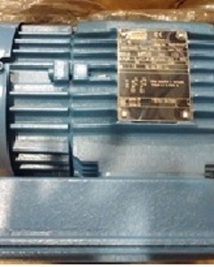 Drive 0,37kW 1Ph 220/440V 60Hz IP55 FS1 1110rpm η64